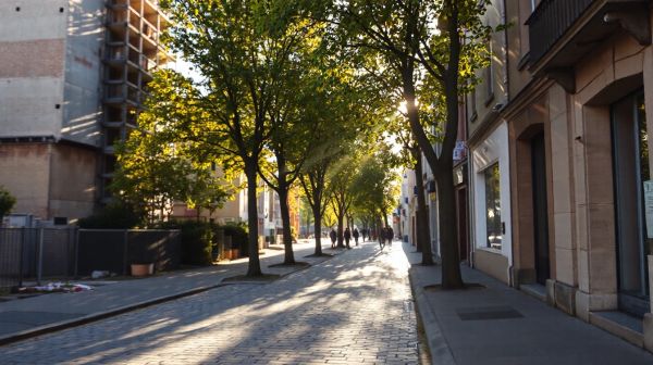 Top critères pour dénicher une entreprise de bâtiment à Bussy-Saint-Georges